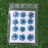 DARK BLUE DRY PRESSED FLOWERS
